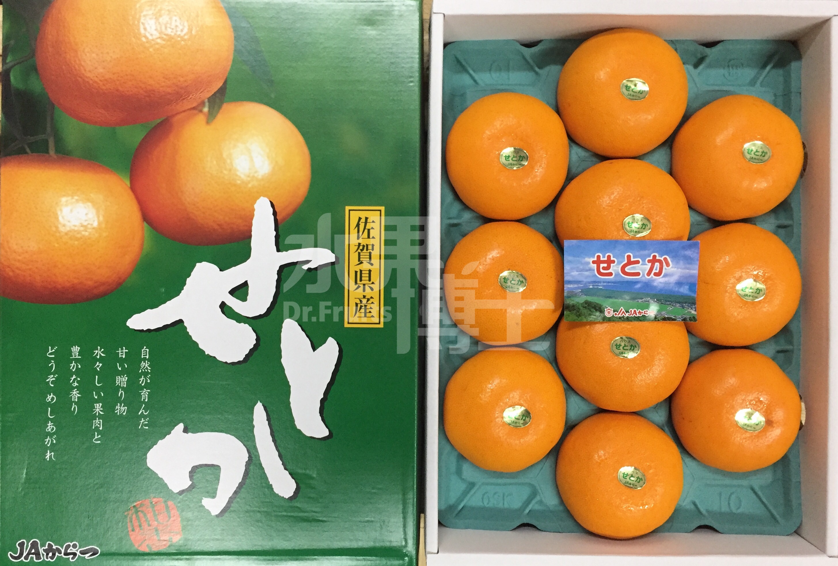 佐贺县濑户香"setoka"香甜柑橙礼盒